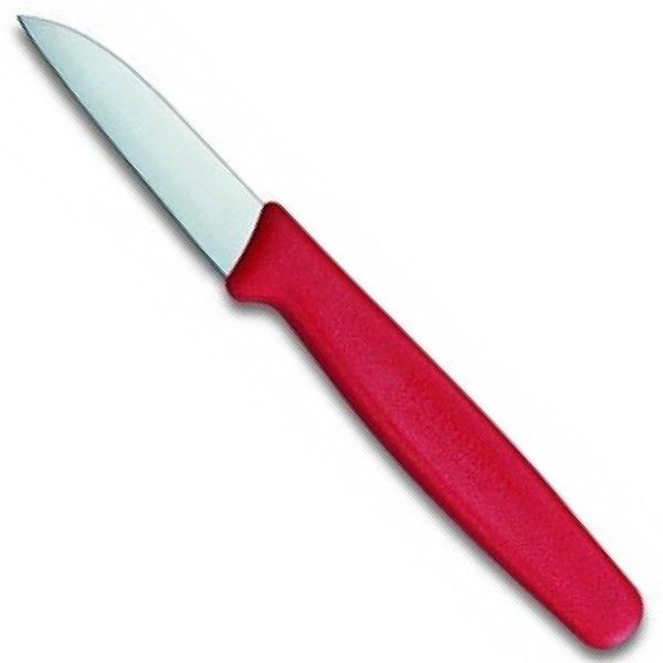 Кухонный нож Victorinox 5.0301