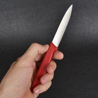 Кухонный нож Victorinox 5.0601