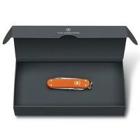 Складной нож Victorinox Classic SD Limited Edition 2021 0.6221.L21